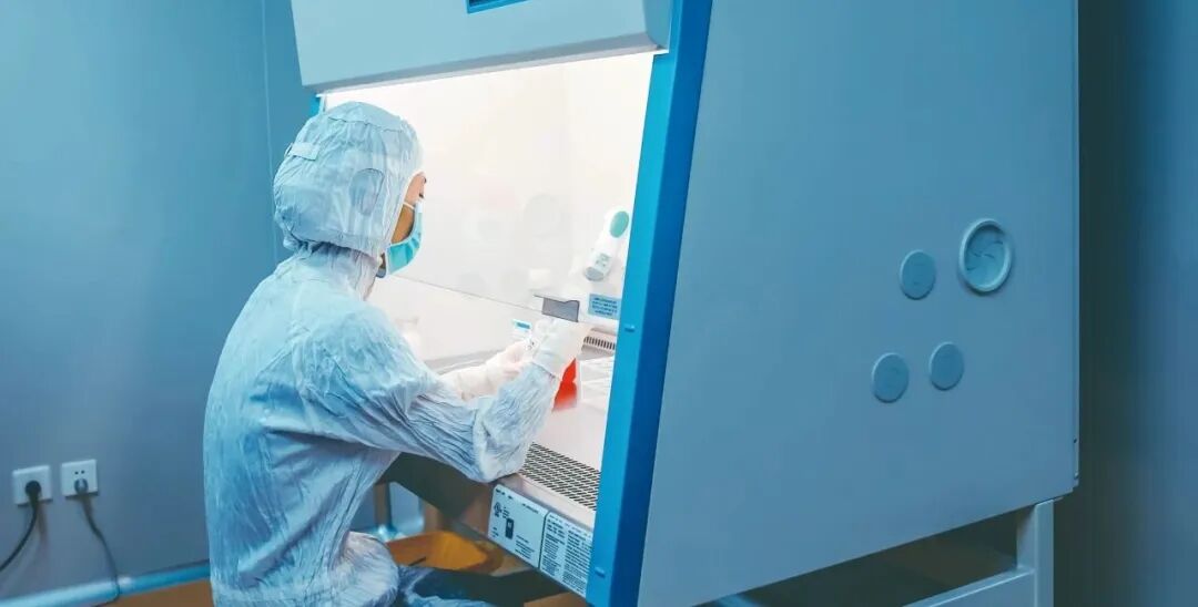 Immune-cell storage process