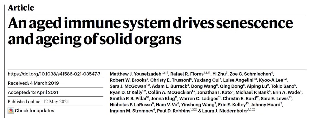 Immune-cell senescence accelerating systemic ageing
