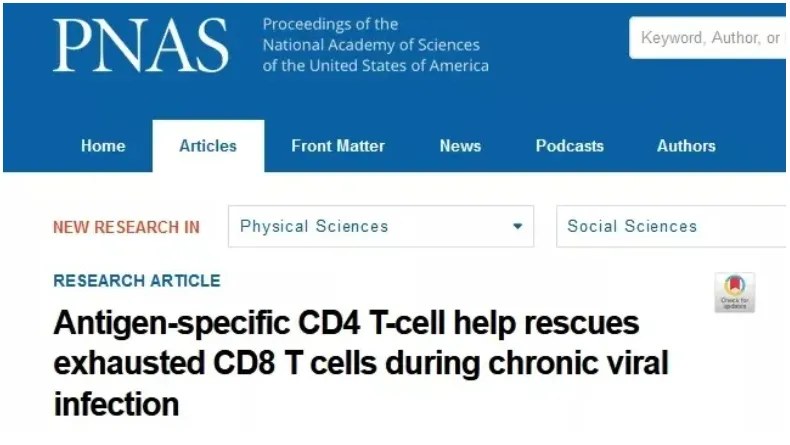 Research on boosting immune-cell activity