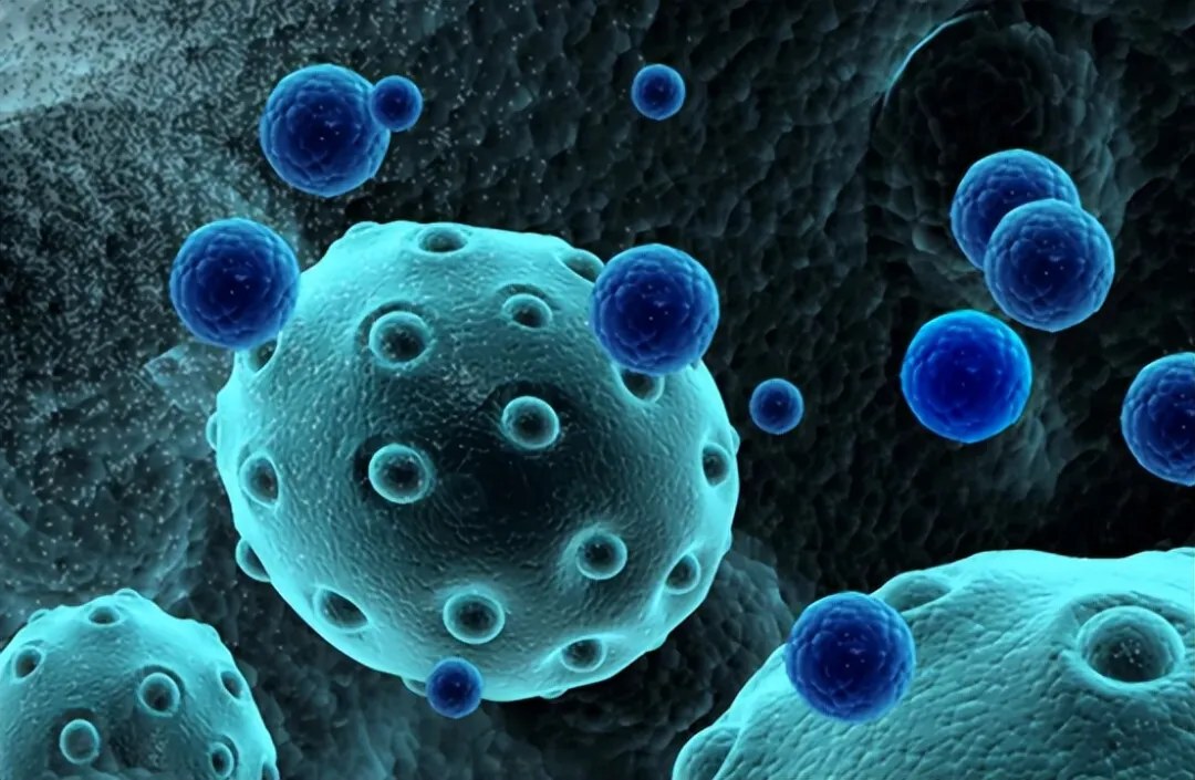 Stem cells and exosomes in ageing-related disease