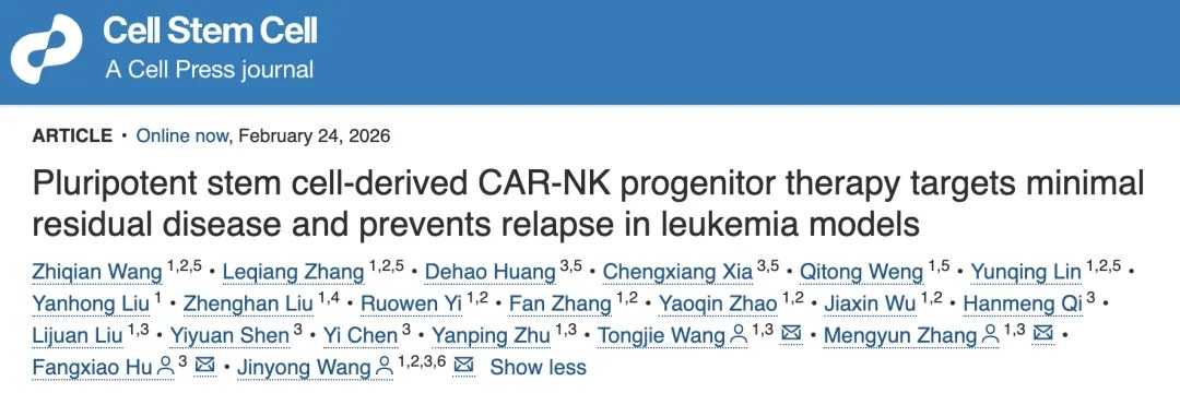 One Stem Cell to 14 Million Tumour-Killing NK Cells?