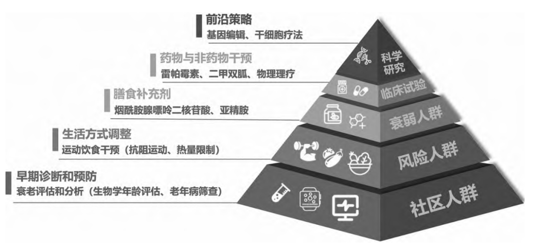 Longevity medicine as a new health-industry engine