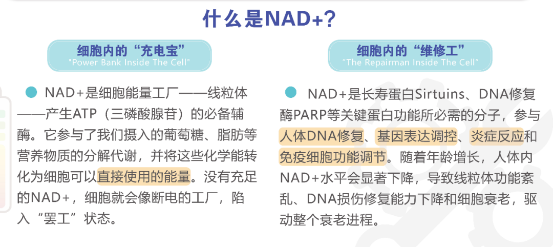 NAD+ and cellular energy metabolism