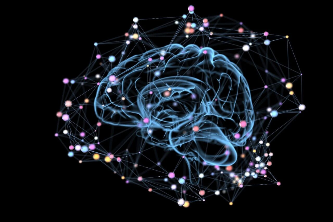 New Neurons at 80: How Far Is a Younger Brain?