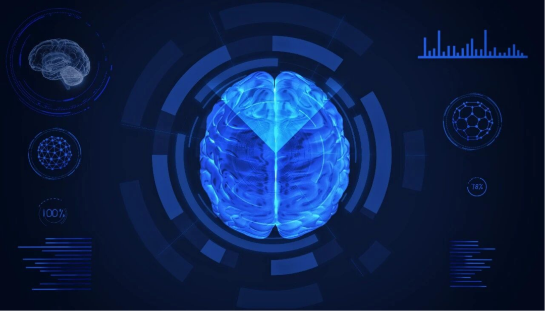 Hippocampal neurogenesis can persist into late life