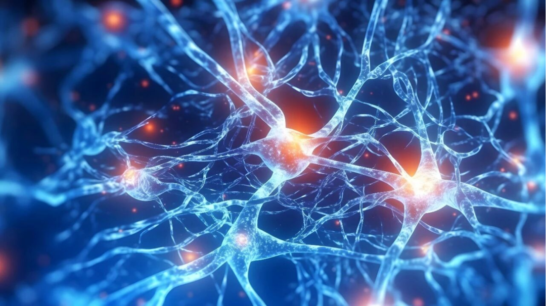 A neurogenic resilience signature in SuperAgers